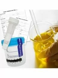 Drug and alcohol testing collection